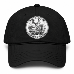 Garment Washed Baseball Cap