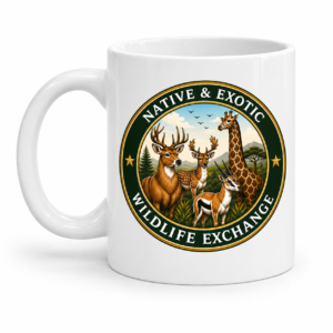 NAEWE Mug