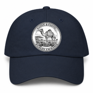NAEWE Ranch Hat (Limited Edition)
