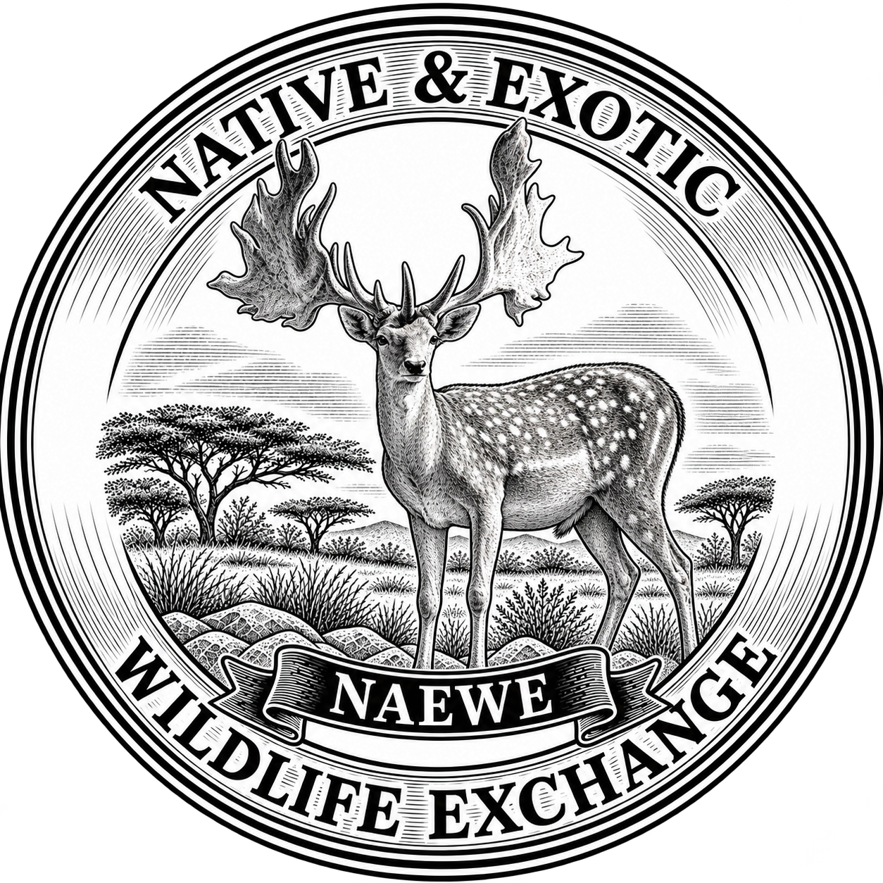 NAEWE Logo 1