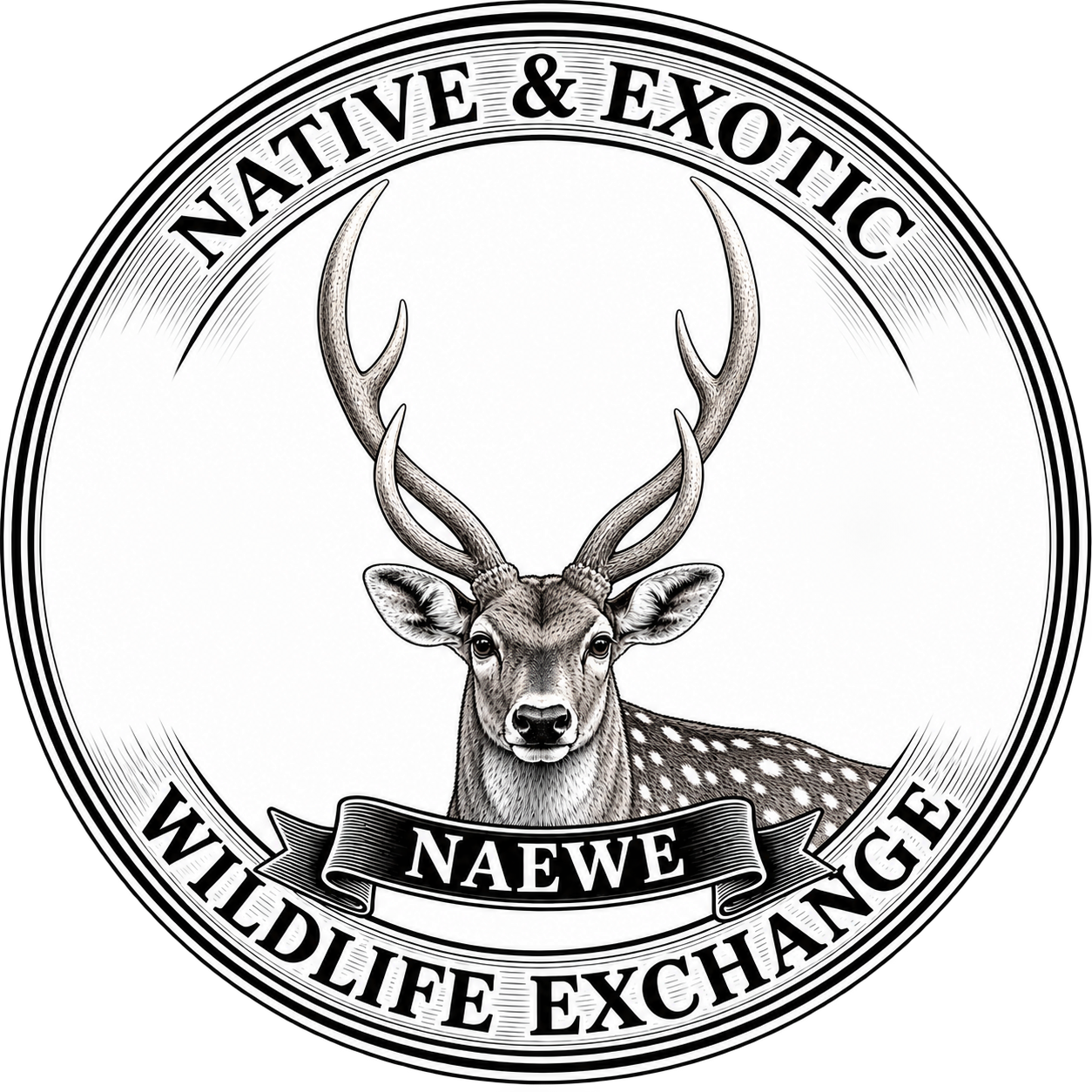 NAEWE Logo 7