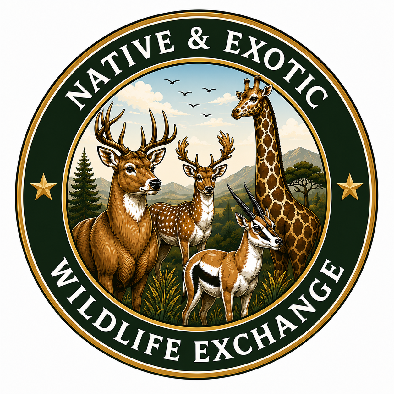 NAEWE Logo 8